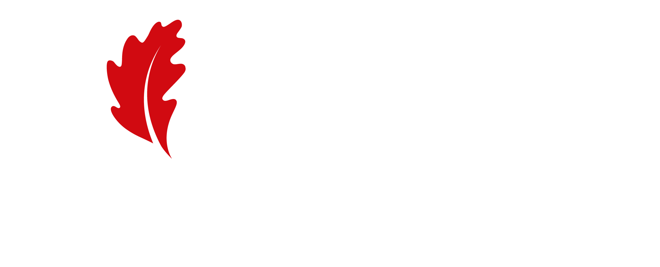 Logo de la Diputación Foral de Bizkaia